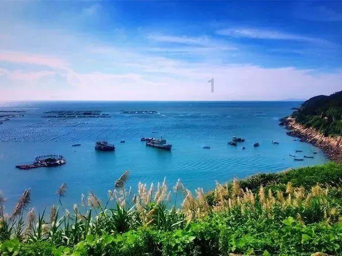三种红灯不能右转